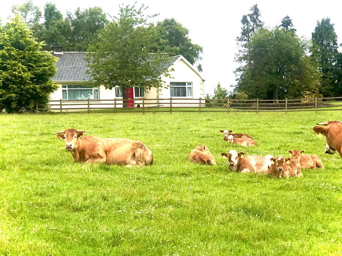 Knocknagore Cottage Gilford Buitenkant foto